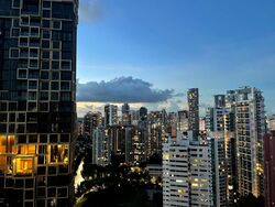 Irwell Hill Residences (D9), Apartment #515942491